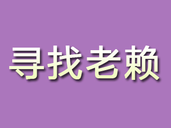 武定寻找老赖